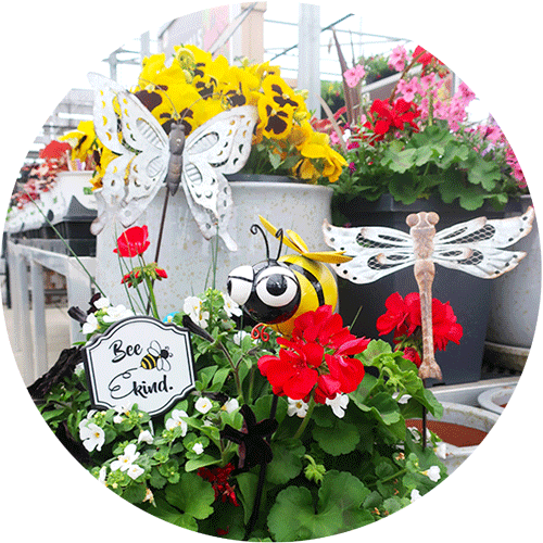 Metal butterfly, bee and dragonfly garden stakes in a pots of red Geraniums and yellow pansies.